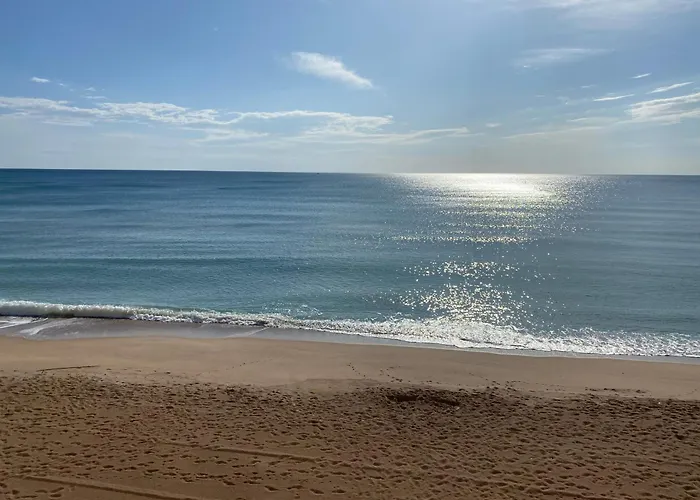 Caballito De Mar