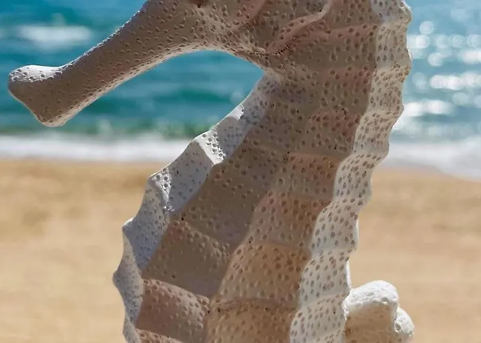 Caballito De Mar